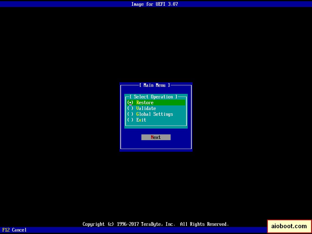 Terabyte Image for UEFI