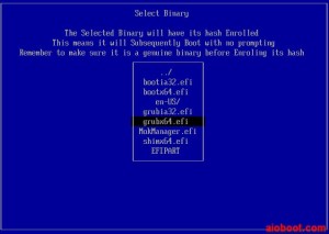 Grub2 Secure Boot - Enroll hash from disk